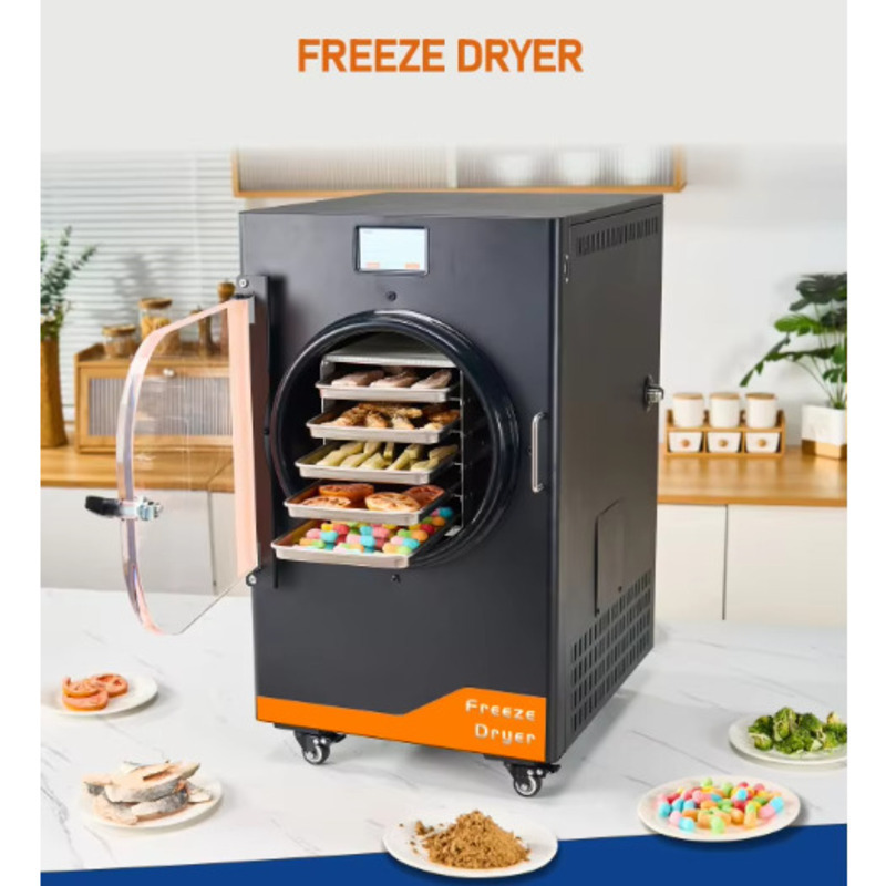 Food In Snacks - 20Kg Automatic Gear Freeze Machine Commercial