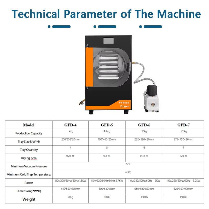20Kg Automatic Gear Freeze Mac – Food In Snacks Bewertung und Preis